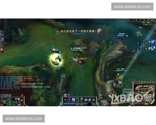 当前版本强势英雄全面解析与最强战术推荐